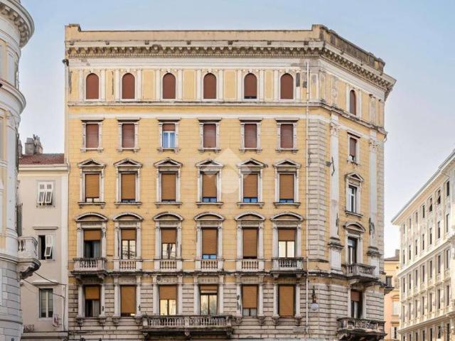 Locale Commerciale in affitto a Città Nuova-Barriera Nuova-San Vito-Città Vecchia, Villa Opicina