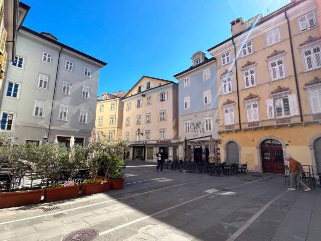 Locale Commerciale in affitto a Città Nuova-Barriera Nuova-San Vito-Città Vecchia, Villa Opicina