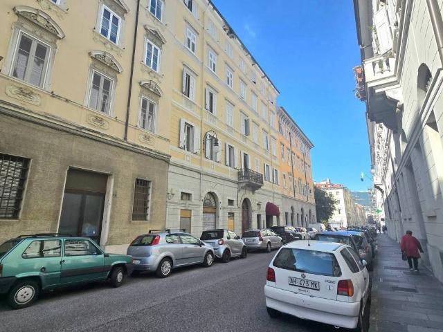 Locale Commerciale in affitto a Città Nuova-Barriera Nuova-San Vito-Città Vecchia, Villa Opicina