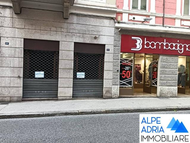 Locale Commerciale in affitto a Città Nuova-Barriera Nuova-San Vito-Città Vecchia, Villa Opicina