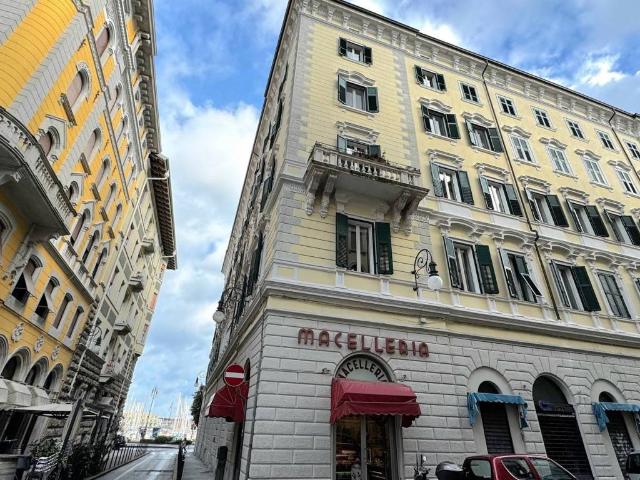 Locale Commerciale in affitto a Città Nuova-Barriera Nuova-San Vito-Città Vecchia, Villa Opicina