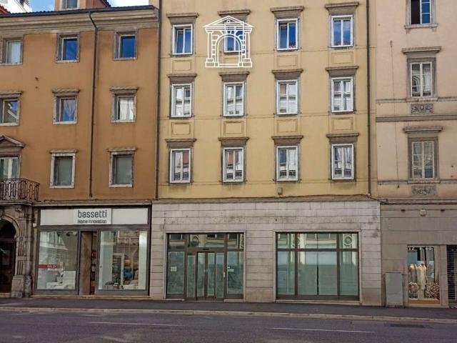 Locale Commerciale in affitto a Città Nuova-Barriera Nuova-San Vito-Città Vecchia, Villa Opicina