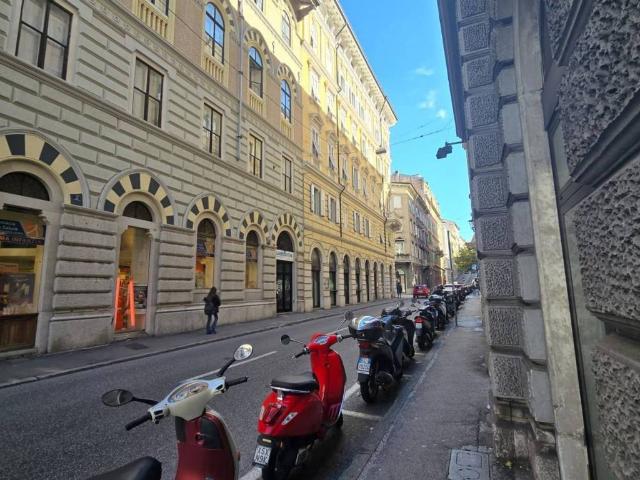 Locale Commerciale in affitto a Città Nuova-Barriera Nuova-San Vito-Città Vecchia, Villa Opicina