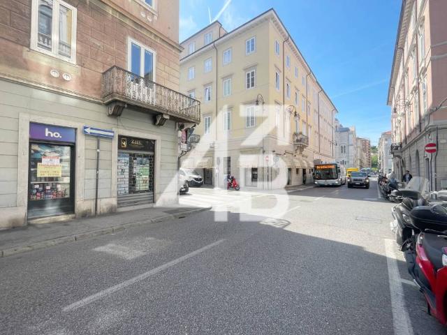 Locale Commerciale in affitto a Città Nuova-Barriera Nuova-San Vito-Città Vecchia, Villa Opicina