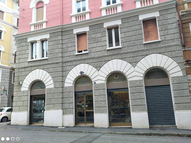Locale Commerciale in affitto a Barriera Vecchia-San Giacomo, Villa Opicina