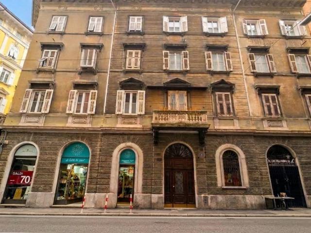 Locale Commerciale in affitto a Città Nuova-Barriera Nuova-San Vito-Città Vecchia, Villa Opicina
