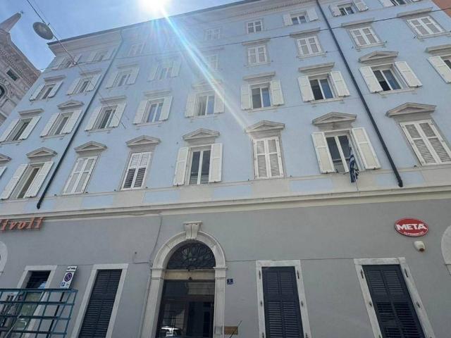 Locale Commerciale in affitto a Città Nuova-Barriera Nuova-San Vito-Città Vecchia, Villa Opicina