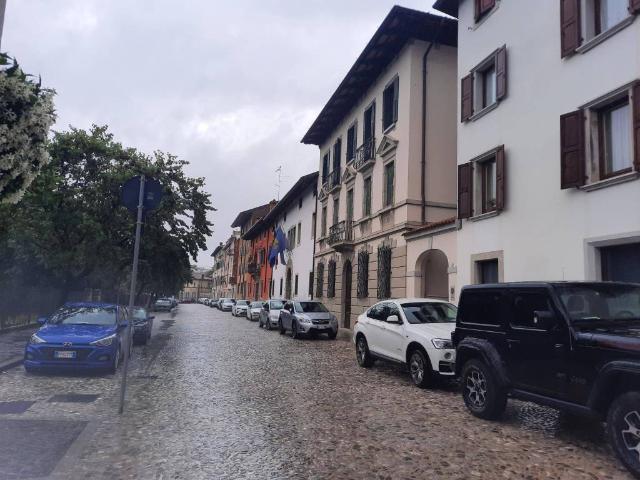 Locale Commerciale in affitto a Borgo Gemona, Reana Del Roiale