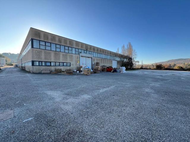 Locale Commerciale in affitto a Vallefoglia, Marche
