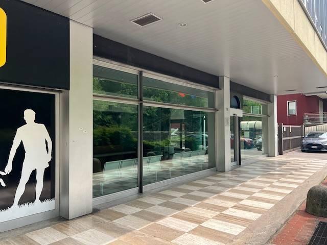 Locale Commerciale in affitto a Biumo Superiore, Varese