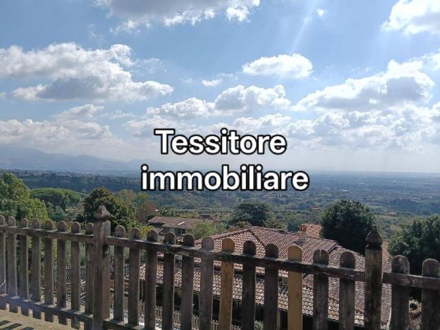 Locale Commerciale in affitto a Velletri, Roma Capitale