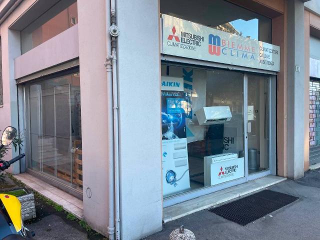 Locale Commerciale in affitto a Ovest, Brenzone