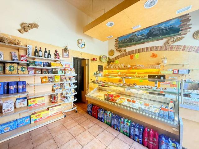 Locale Commerciale in affitto a Nord-Ovest, Brenzone