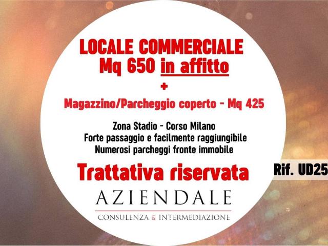 Locale Commerciale in affitto a Ovest, Brenzone