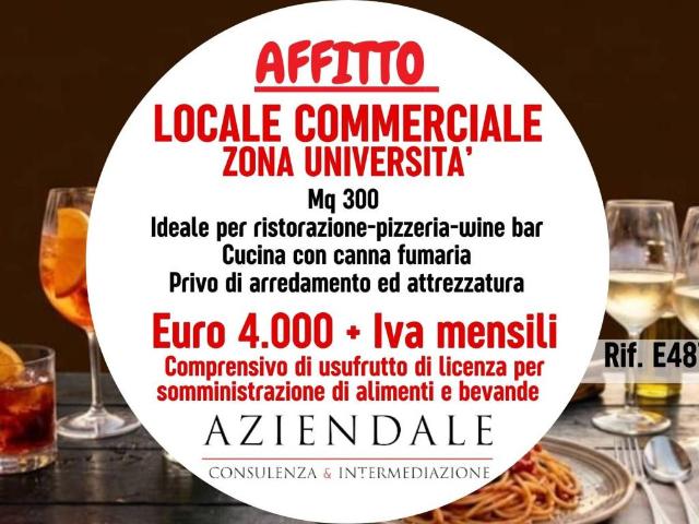 Locale Commerciale in affitto a Centro storico, Brenzone