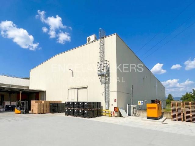Locale Commerciale in affitto a San Felice Extra, Brenzone