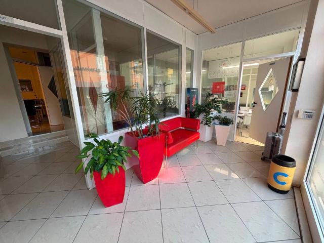 Locale Commerciale in affitto a Nord-Ovest, Brenzone