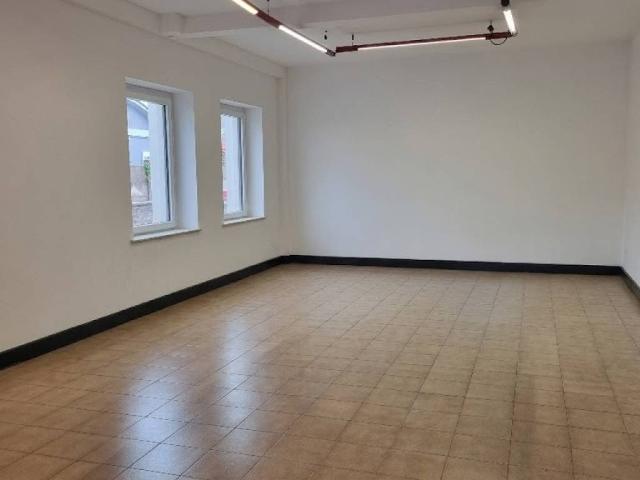 Locale Commerciale in affitto a Sud, Brenzone