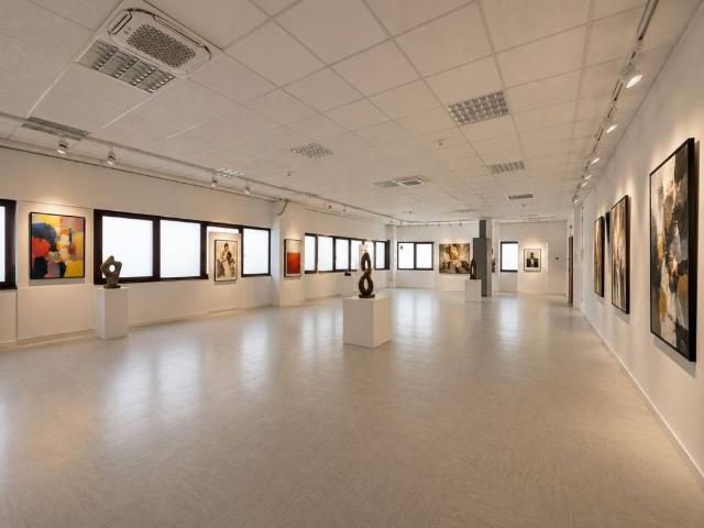Locale Commerciale in affitto a Sud, Brenzone