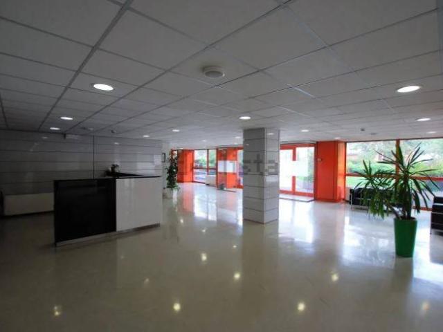 Locale Commerciale in affitto a Ovest, Brenzone