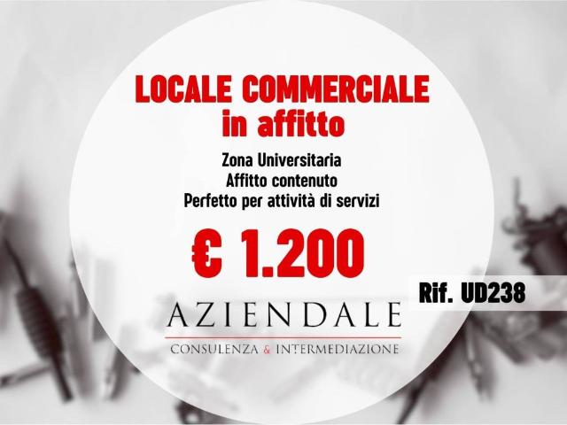 Locale Commerciale in affitto a Centro storico, Brenzone