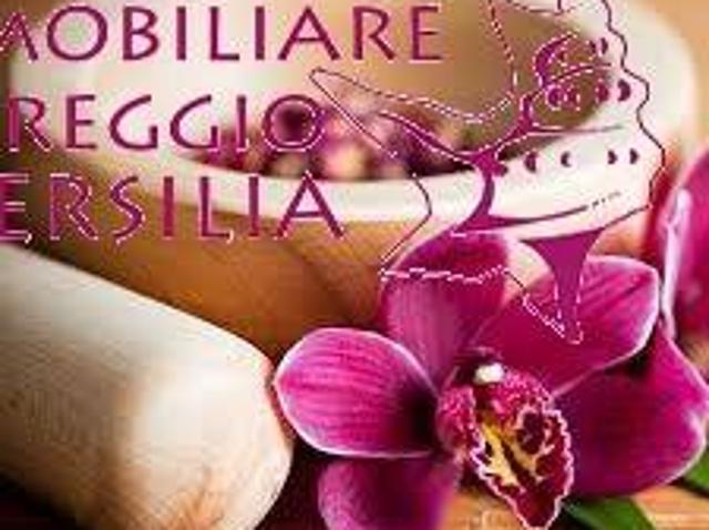 Locale Commerciale in affitto a Viareggio, Toscana