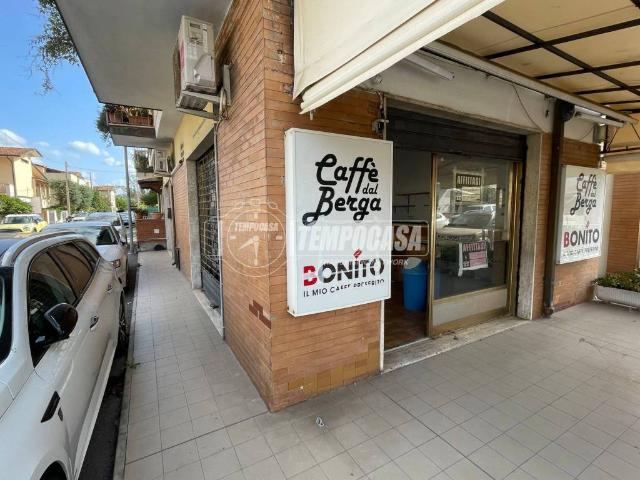 Locale Commerciale in affitto a Viareggio, Lucca