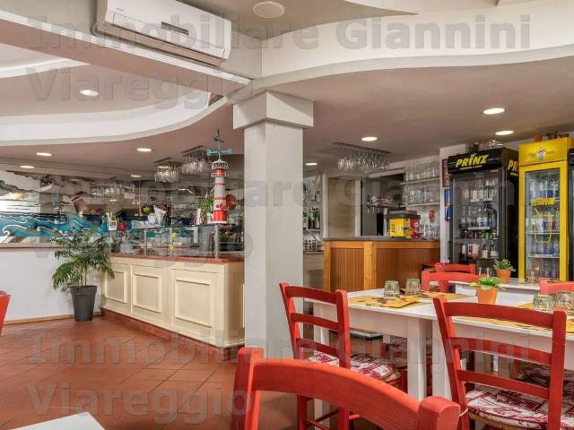 Locale Commerciale in affitto a Viareggio, Lucca