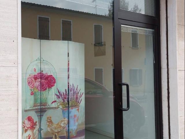 Locale Commerciale in affitto a Vigonovo, Veneto