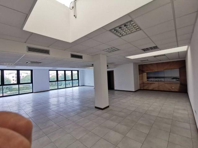 Locale Commerciale in affitto a Vigonza, Borgo Rurale Fratelli Grinzato