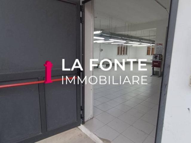 Locale Commerciale in affitto a Vigonza, Veneto