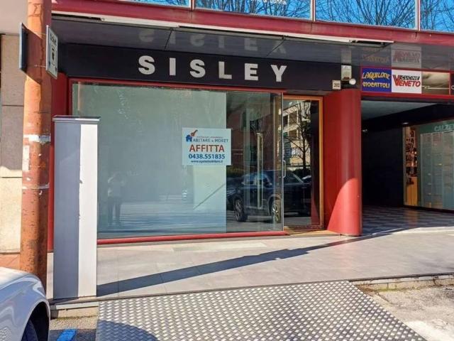 Locale Commerciale in affitto a Olarigo, Vittorio Veneto