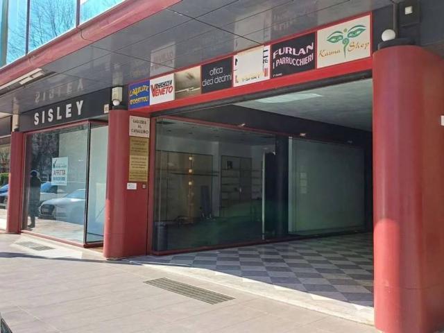 Locale Commerciale in affitto a Olarigo, Vittorio Veneto