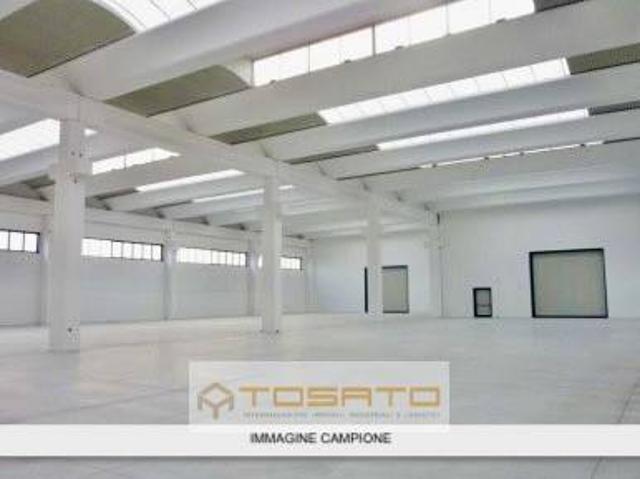 Locale Commerciale in affitto a Zevio, Veneto