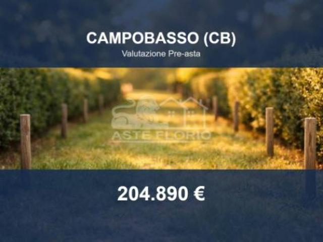 Terreno in vendita a Campobasso