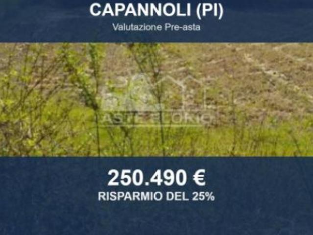 Terreno in vendita a San Pietro Belvedere, Toscana