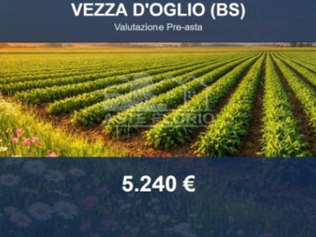 Terreno in vendita a Comunità montana della valle Camonica, Vezza D'oglio