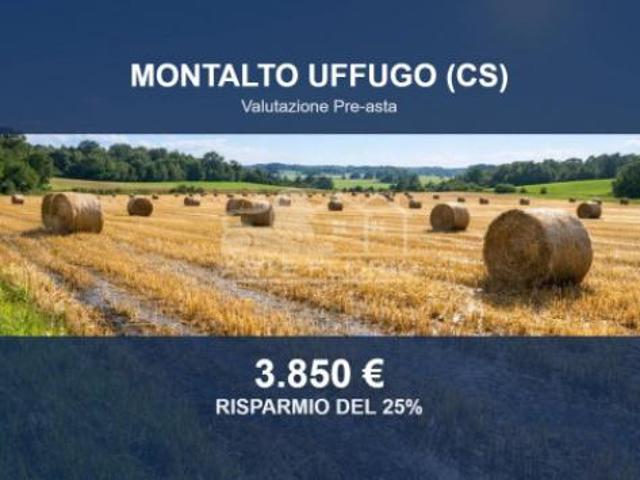 Terreno in vendita a Montalto Uffugo, Cosenza