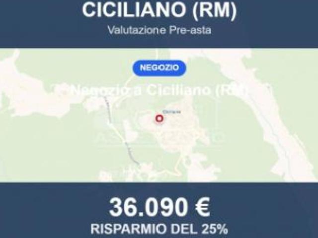 Locale Commerciale in vendita a Roma Capitale, Lazio