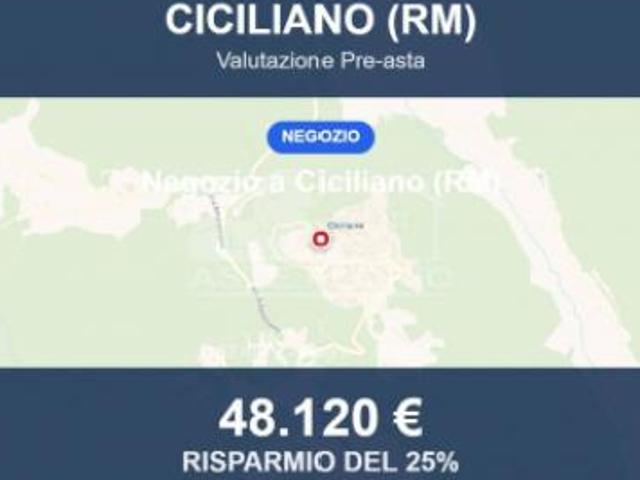 Locale Commerciale in vendita a Roma Capitale, Lazio