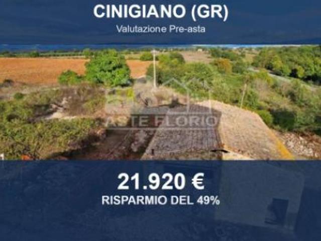 Terreno in vendita a Cinigiano, Toscana