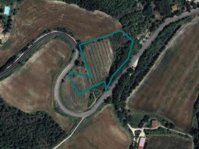 Terreno in vendita a San Venanzo, Umbria
