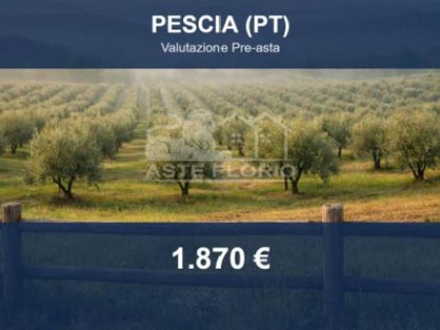 Terreno in vendita a Uzzano E Castello, Toscana