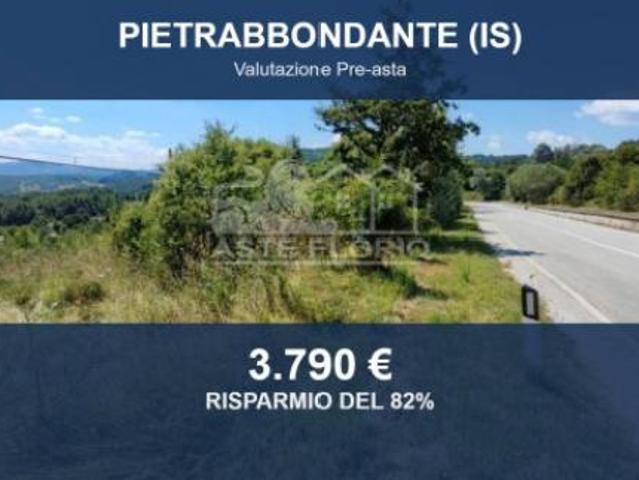 Terreno in vendita a Pietrabbondante, Molise