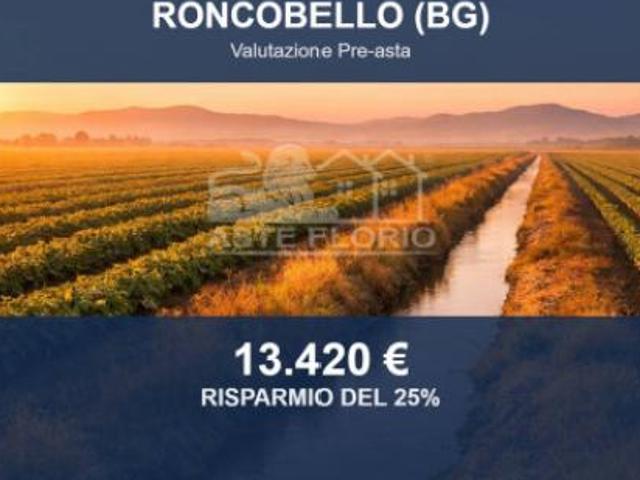 Terreno in vendita a Comunità Montana della Valle Brembana, Roncobello