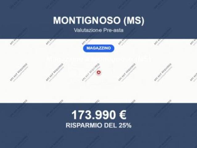 Capannone in vendita a Renella, Montignoso