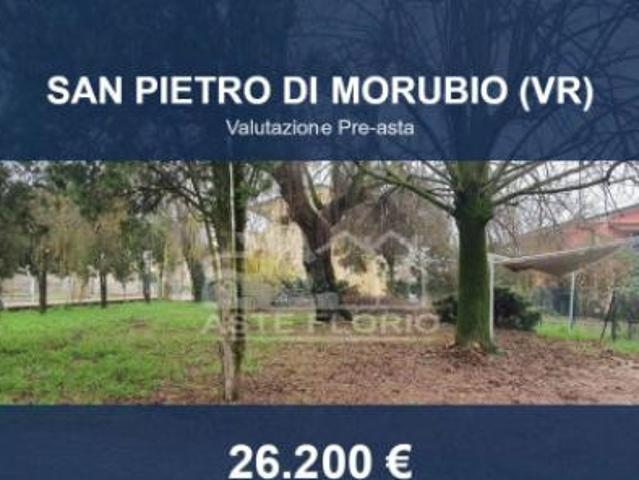 Terreno in vendita a San Pietro Di Morubio, Veneto