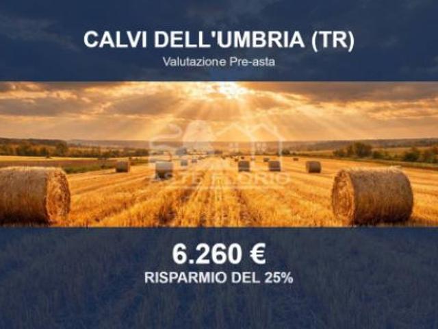 Terreno in vendita a Calvi Dell'umbria, Umbria