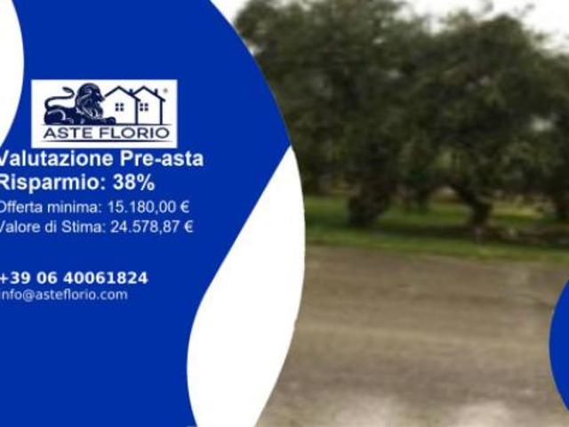 Terreno in vendita a Corato, Bari