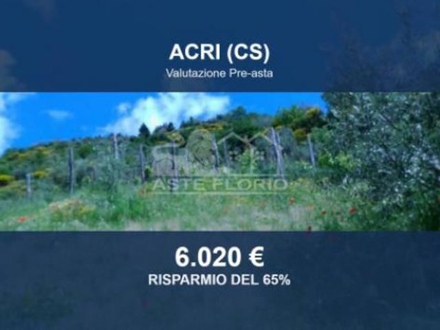 Terreno in vendita a Calabria, Cosenza